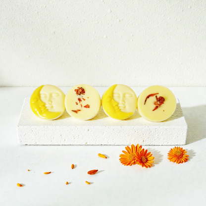 Sunshine Bursts Scented Soy Wax Melts + Grounded Earth Ceramic Burner Gift Set