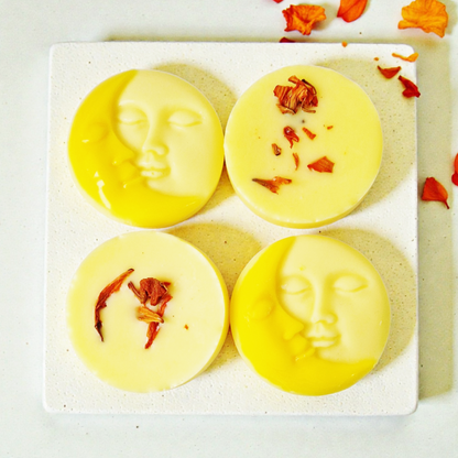 Sunshine Bursts Scented Soy Wax Melts + Grounded Earth Ceramic Burner Gift Set